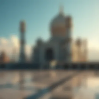 Magnificent 에이피이엔에프티 가격 분석