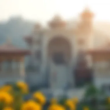 Magnificent 러쉬코인: 최신 분석과 투자 전략 Magnificent 러쉬코인: 최신 분석과 투자 전략