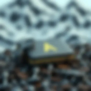 Utilization of Avalanche Wallet for asset management