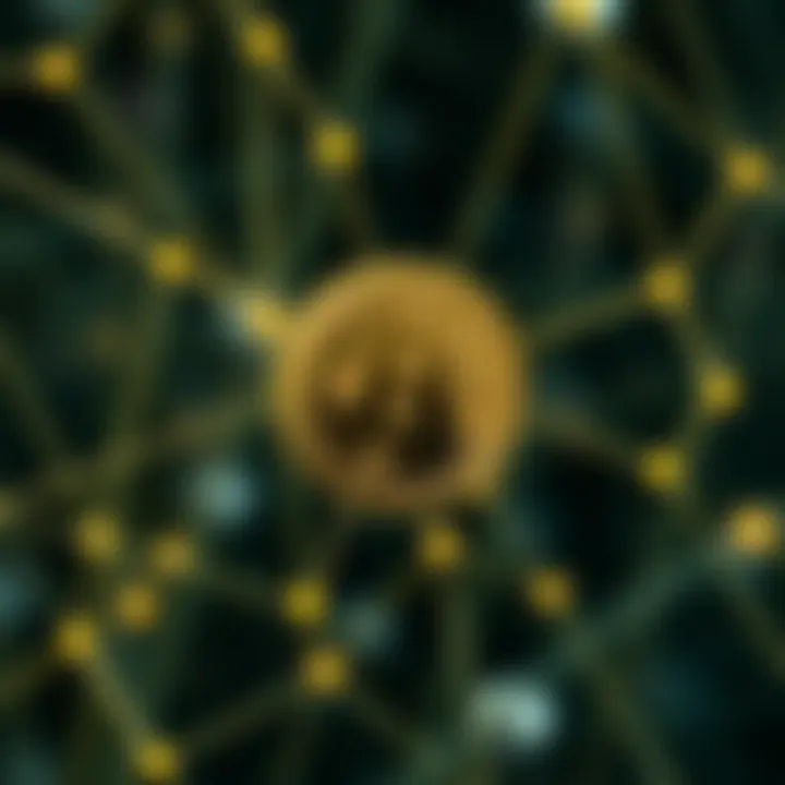 Blockchain technology and its connection to network effects