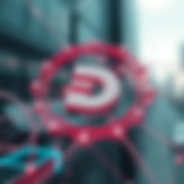 Visual explanation of Dash network functionality