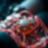 Visual representation of OpenZeppelin framework