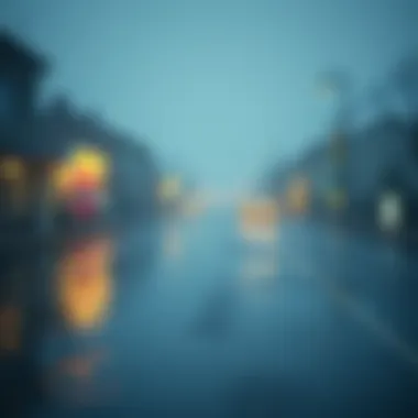 러쉬코인: 최신 분석과 투자 전략 Summary