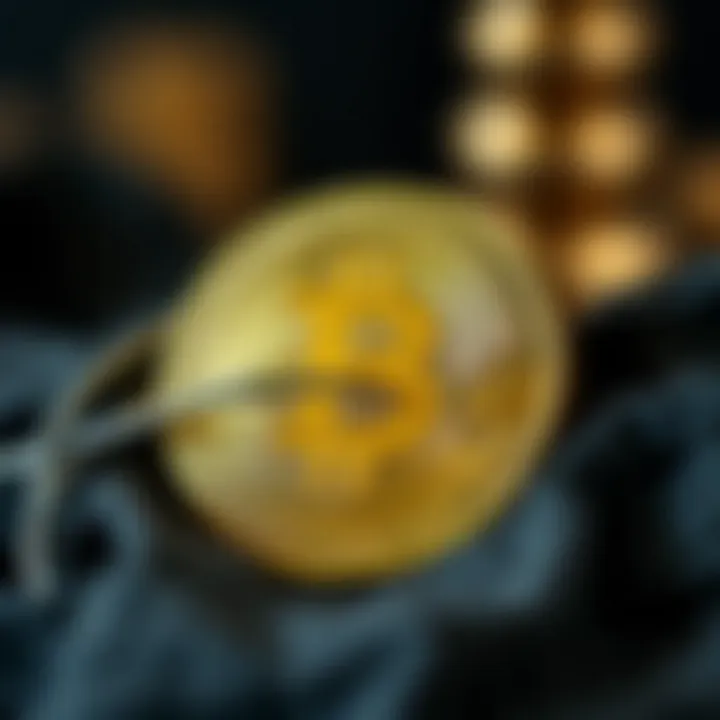 Key features of SoloCoin explained